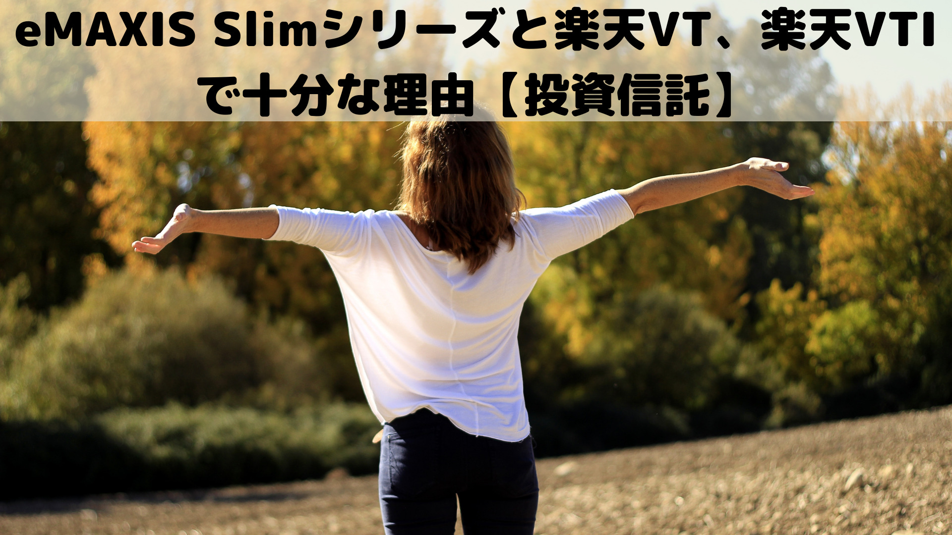 eMAXIS Slimシリーズと楽天VT、楽天VTIで十分な理由【投資信託】